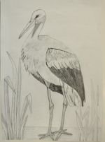 Tekeliová Laura.jpg